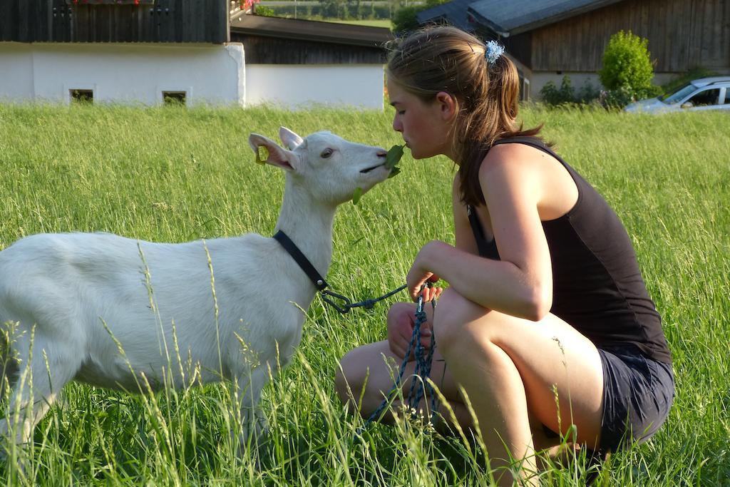 Willa Leebhof Patergassen Zewnętrze zdjęcie